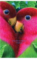 Parrot Love Journal Notebook: (Composition Book Journal Paper ) (5.5 X 8.5 100 pages)(Beautiful Bird)