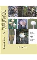 Fungi