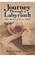 Journey Through a Labyrinth
