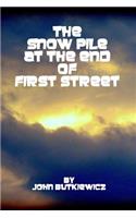 Snow Pile at the End of First Street