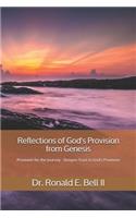 Reflections of God's Provision from Genesis