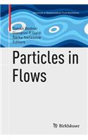 Particles in Flows