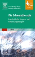 Die Schmerztherapie