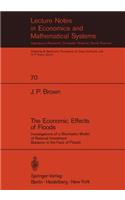 Economic Effects of Floods