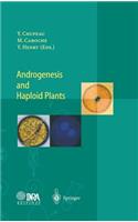 Androgenesis and Haploid Plants
