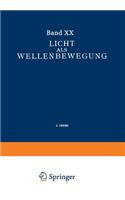 Licht Als Wellenbewegung