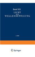 Licht ALS Wellenbewegung