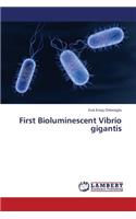 First Bioluminescent Vibrio Gigantis
