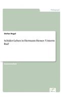 Schüler-Leben in Hermann Hesses 'Unterm Rad'