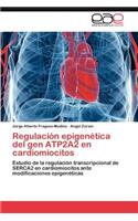 Regulacion Epigenetica del Gen Atp2a2 En Cardiomiocitos