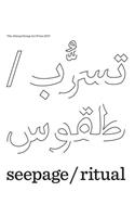 seepage / ritual – The 2017 Abraaj Group Art Prize