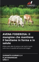 Avena Foderosa: Il mangime che mantiene il bestiame in forma e in salute