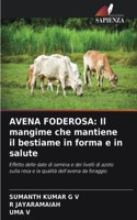 Avena Foderosa