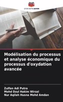 Modélisation du processus et analyse économique du processus d'oxydation avancée