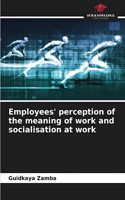 Employees' perception of the meaning of work and socialisation at work