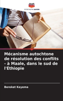Mécanisme autochtone de résolution des conflits - à Maale, dans le sud de l'Éthiopie