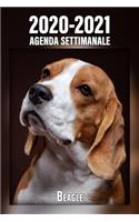 2020-2021 Agenda Settimanale Beagle