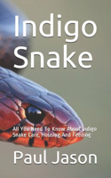 Indigo Snake: All You Need To Know About Indigo Snake Care, Housing And Feeding