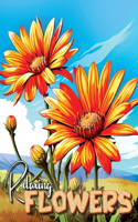 Relaxing Flowers
