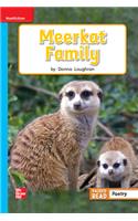 Reading Wonders Leveled Reader Meerkat Family: On-Level Unit 2 Week 3 Grade 1