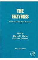 Enzymes