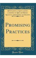Promising Practices (Classic Reprint)