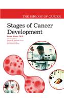 Stages of Cancer Development