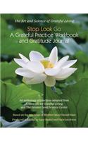 Stop-Look-Go