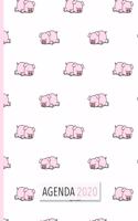 Agenda 2020