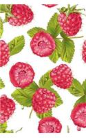 Raspberries Notebook: Dot Grid Journal, Softcover (6x9 Inches) with 120 Pages