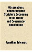 Observations Concerning the Scripture Oeconomy of the Trinity and Covenant of Redemption