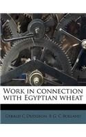 Work in Connection with Egyptian Wheat