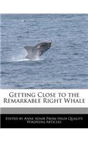 Getting Close to the Remarkable Right Whale
