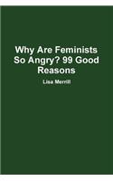 Why are Feminists So Angry? 99 Good Reasons