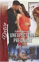 Little Secrets: Unexpectedly Pregnant: (7 Little Secrets)