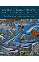 The Rise of Marine Mammals