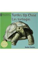 Turtles Up Close / Las Tortugas