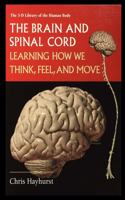 Brain and Spinal Cord