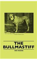 Bullmastiff