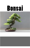 Bonsai (Journal / Notebook)