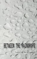 Between the Raindrops