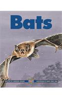 Bats