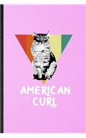 American Curl