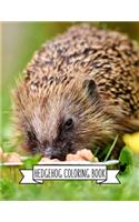 Hedgehog Coloring Book
