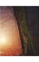 Haunted Forest Trees Spooky Ghost Ghostly Path Loneliness Haunting Creepy Spirit