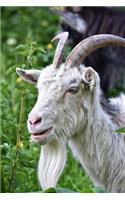 Saanen Goat with a Beard Journal: Take Notes, Write Down Memories in this 150 Page Lined Journal