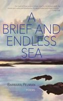 Brief and Endless Sea