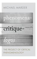 Phenomena-Critique-Logos