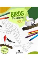 Birds for Coloring Vol.1