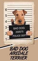 Bad Dog Airedale Terrier